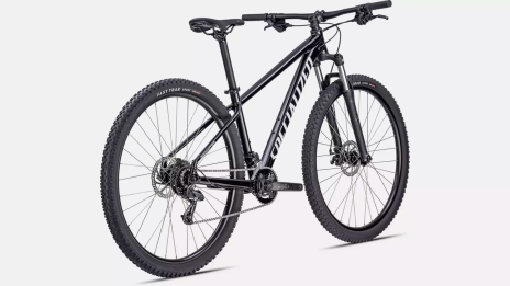 Specialized Rockhopper 29